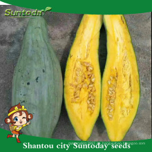 Suntoday buen gusto venta de calabaza dulce semillas tailandia havester brillo núcleos de piel gws (15006)